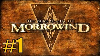 Morrowind Part 1  The Paladin [upl. by Vinn]