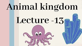 Hemichordata  Animal kingdom Lecture  13 [upl. by Obrien]