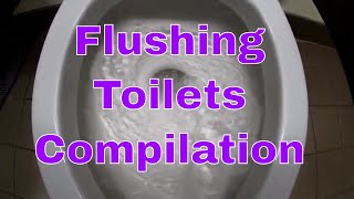 Toilet Flushing Compilation ASMR Sounds  Toilet Flushing Sounds  Relaxing Sound Effects Swirls [upl. by Correna]