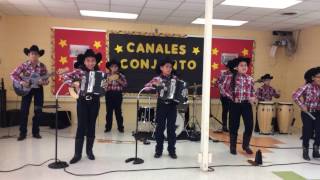 Canales Conjunto performs at TMEA convention [upl. by Nilsoj]