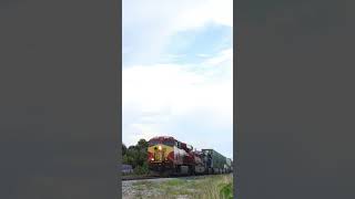 FEC Champion Leading Intermodal Train fectrains train railfan shorts railway [upl. by Nainatrad]