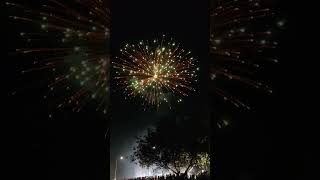 4quotsky short fire fireworks sonyfireworks youtube fireworksfestival diwaliindia ytshort [upl. by Samot]