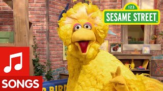 Sesame Street Big Bird Sings Happy to Be Me Song [upl. by Wendy580]