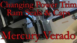 Changing Mercury Verado Power Trim Caps Seals amp Rams [upl. by Yhtamit532]