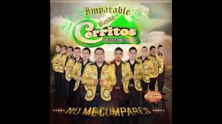 IMPARABLE BANDA CERRITOS  AMORCITO CONSENTIDO PRODUCCIÓN 2017 [upl. by Anyrtak81]