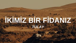 Tülay  İkimiz Bir Fidanız SözleriLyrics 1975 Plak Kaydı [upl. by Supple734]