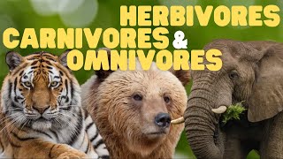 Herbivores Carnivores and Omnivores for Kids  Learn which animals eat plants meat or both [upl. by Legnaleugim]