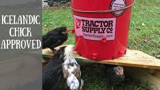 Chicken Coop Tour Part 3 Automatic Watering System 4K [upl. by Arag]