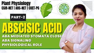 Plant Hormones Abscisic Acid Part2 Stomata Closing by ABA  ABA Signaling ABA Physiological Role [upl. by Wilmer180]