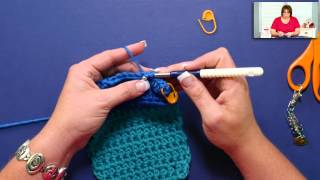 Learn How to Do Extended Half Double Crochet with Marly Bird [upl. by Yecats]