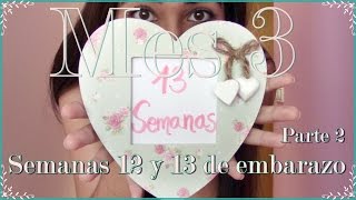 Mes 3 💕 EMBARAZO💕 Semanas 12 y 13 Segunda parte Ecografía de las 12 semanas y mucho más [upl. by Enyak]