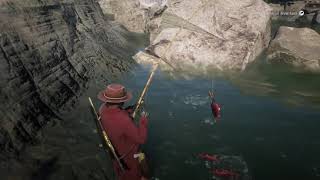 Red Dead Redemption 2 fishing for sockeye salmon [upl. by Ag]