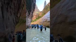 Exploring The Narrows Zion’s Hidden Gem travel water hikingadventure hiking [upl. by Shirlee240]