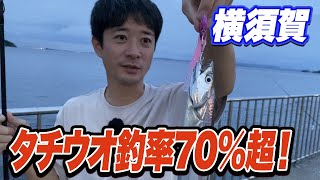 【うみかぜ公園海辺つり公園】夏のタチウオ釣果全公開！太刀魚が好むルアーは？ [upl. by Golding]