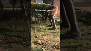 Why they killed lions😂😂comedy africandocumentaries viralshort shorts motivation [upl. by Anelrihs]