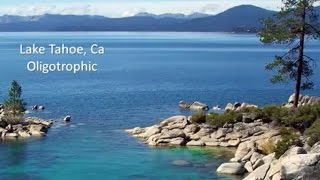 Lake Tahoe and the World Wide Water Crisis [upl. by Enneyehc]