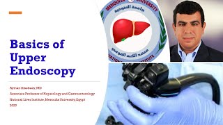 Basics Of Diagnostic Esophagogastroduodenoscopy EGD [upl. by Eat27]