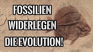 Wo sind die Beweise für die Evolutionstheorie Wo sind die vielen Fossilien mit Übergangsformen [upl. by Enomsed7]