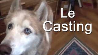 LE CASTING  PAROLE DE CHIEN [upl. by Enellek605]