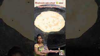 உடல் எடை குறைக்க healthy dinner recipemushroom oats wheat dosa shorts [upl. by Raleigh]