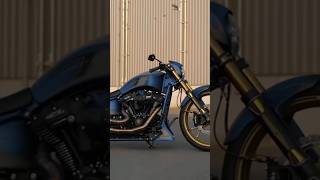 HarleyDavidson BREAKOUT 117 Custom PURPLE POWER [upl. by Larred]