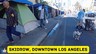 Homelessness in downtown Los Angeles Skidrow the largest in America Helping the homeless [upl. by Llerot917]