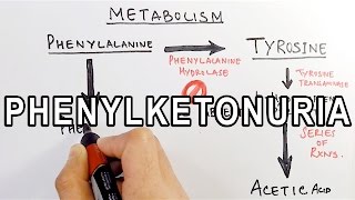 Phenylketonuria  Biochemistry amp Genetics [upl. by Longley]