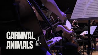 SaintSaëns Carnival of the Animals l FINALE [upl. by Marge]