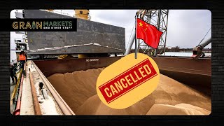 Again China to Cancel More US Grain Purchases [upl. by Nadaba]