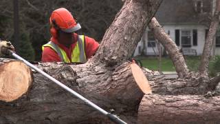 Community Center Tree Removal  2014  RAW [upl. by Jacobs]