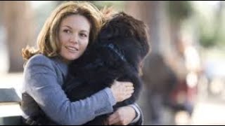 Must Love Dogs Full Movie Facts  Review And Knowledge  Diane Lane  John Cusack [upl. by Am584]