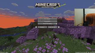 OROCHINHO FAZENDO A PIOR GAMEPLAY DE MINECRAFT DO SECULO [upl. by Emad144]