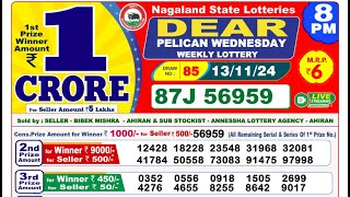 Lottery Result Today 8pm 13112024  Official  Sikkim Lottery [upl. by Arlynne98]