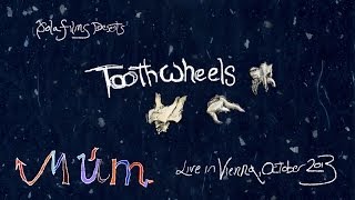 múm toothwheels live [upl. by Mccallion263]