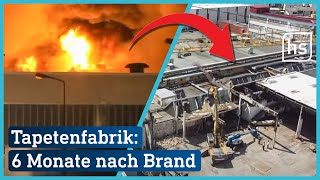 Sogar Stahl verbogen Tapetenfabrik ein halbes Jahr nach dem Großbrand  hessenschau [upl. by Ahsar717]