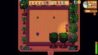 How to plant 6 Iridium Sprinklers for full coverage in Greenhouse  Stardew Valley 16 [upl. by Margret]