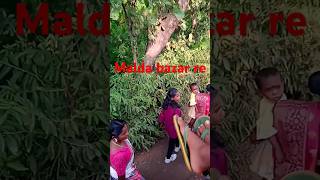 Malda bazar re song music sad 🥰🥰💯👌 [upl. by Amedeo581]