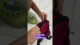 Unboxing Sugar Glider Leucistic [upl. by Sirad]