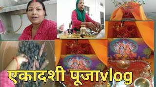 कार्तिक महीने का एकादशी व्रत एवं तुलसी विवाहvlog🪔 aaj mera ekadashi vrat hai aaj Tulsi Puja ek sath [upl. by Jemima130]