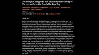 Pathologic Changes in and Immunophenotyping of Polymyositis in the Dutch Kooiker Dog [upl. by Son120]