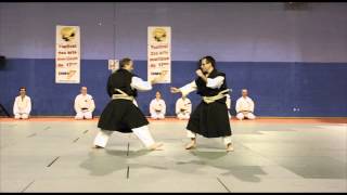 Festivam17 2013 Shorinji Kempo Paris Shibu [upl. by Araccot]