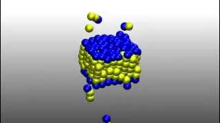 Self Assembly of Lipid Bilayer Membrane [upl. by Mchale980]