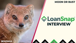 Can Mongoose Coin Flip Crypto Coin  Interview With LoanSnap  Moon or Bust [upl. by Hilleary288]