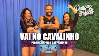 VAI NO CAVALINHO  Pedro Sampaio e Gasparzinho  Coreografia Cia Z41 [upl. by Evelyn]