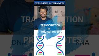 Transcriptionprokaryotestamilnotesrna synthesisprocessdiagramgene expressioncsir netDna [upl. by Toinette]