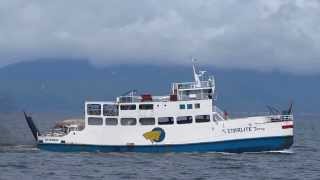 Starlite Ferries Inc MV Starlite Ferry [upl. by Wally]