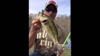 McClintic WMA Bass Fishing 41319 [upl. by Yllas]