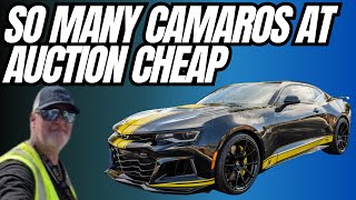 So Many Camaros At Auction Cheap ZL1 SS And More Copart Walk Around [upl. by Eelek]