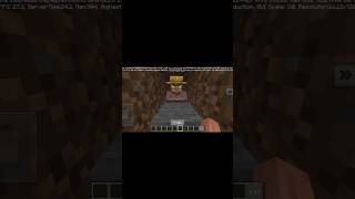 Minecraft my fake ding dong viralvideo funnyminecraft [upl. by Arjan]