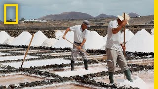 Ever Wonder How Sea Salt Is Made Find Out Here  National Geographic [upl. by Dupin104]